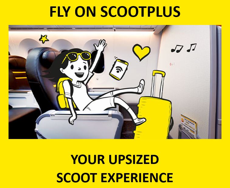 ScootBiz becomes ScootPlus